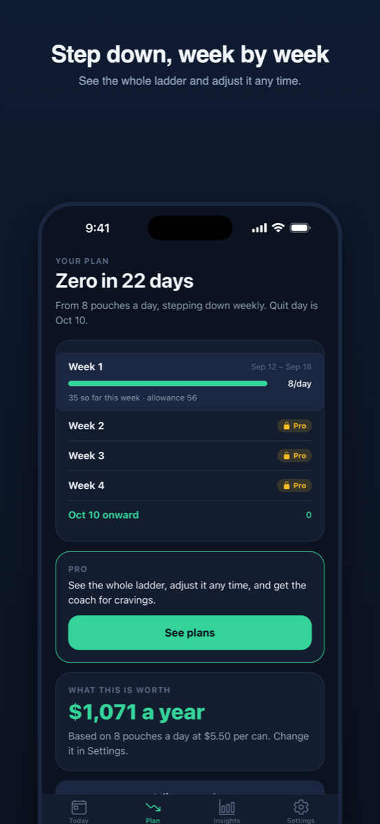 Plan screen